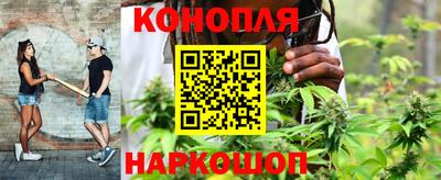 spice Волгодонск