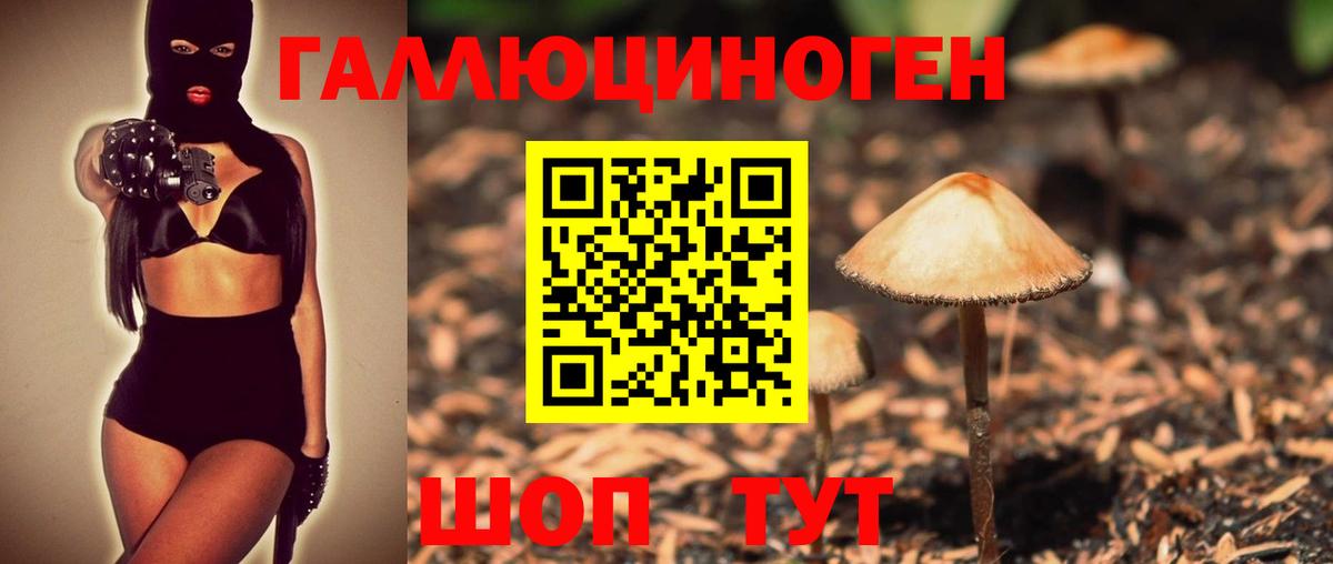 Ефремов  Псилоцибиновые грибы мухоморы  Вход с VPN  Галлюциногенные грибы мухоморы 
